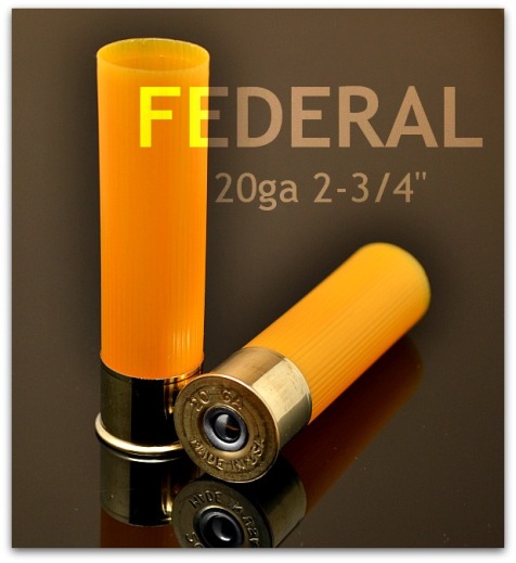 Federal 20ga 2.75